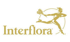 Logotipo de Interflora